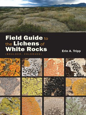 cover image of Field Guide to the Lichens of White Rocks